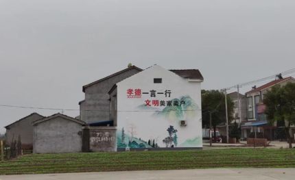 娄底新农村墙绘